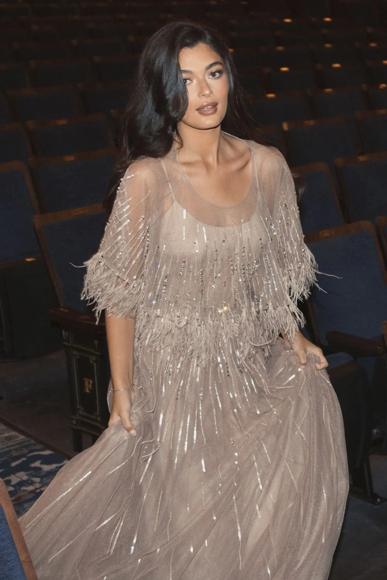 Beige Embellished A Line Gown with Feather Detail Cape - Image 5