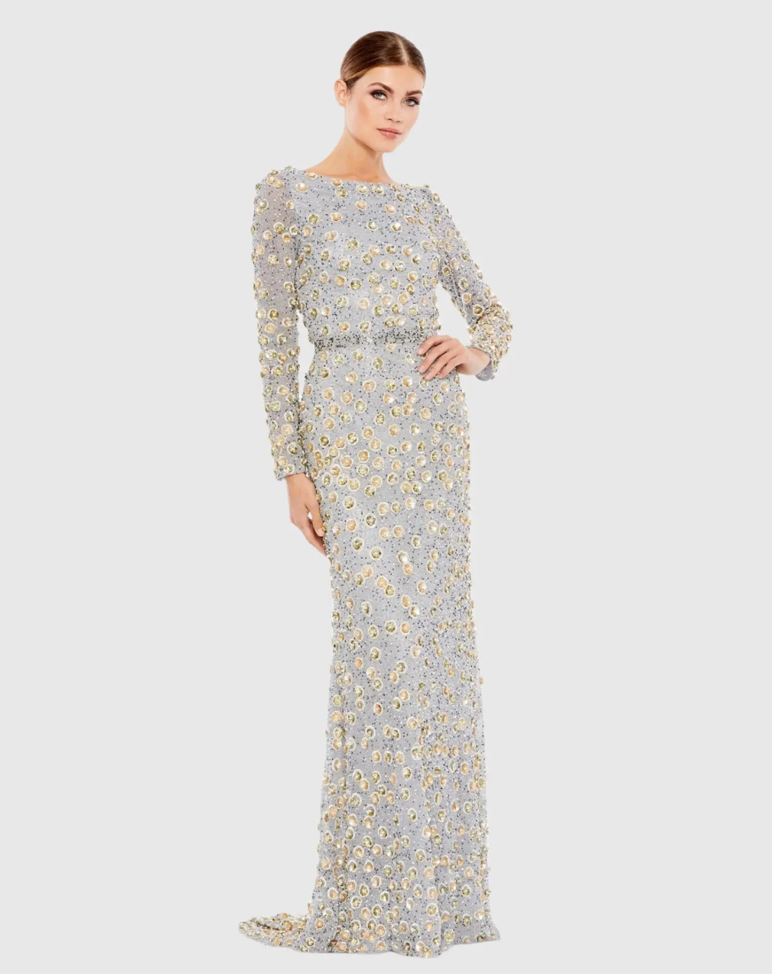 Silver Embellished Long Sleeve High Neck Gown