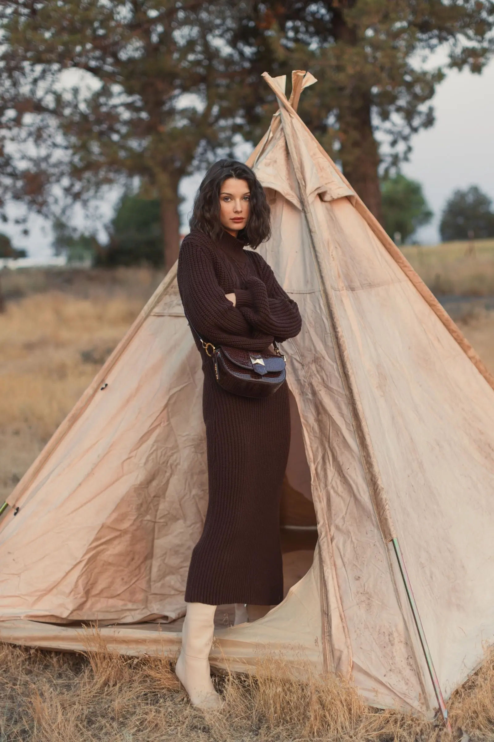 Brown Long Sleeve Turtle Neck Knit Midi Dress - Image 5
